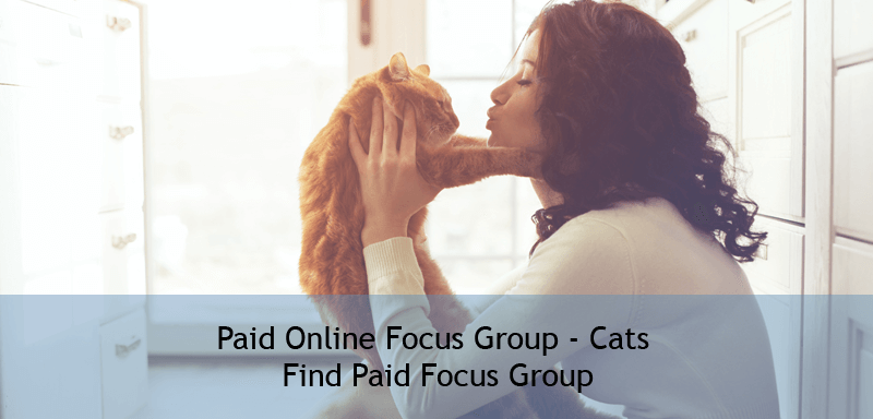 Paid Online Focus Group – Cats