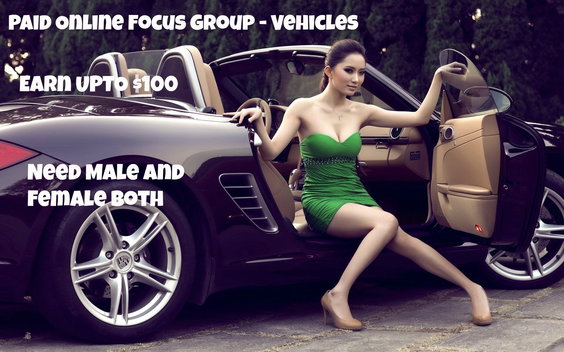 Paid Online Focus Group – Vehicles